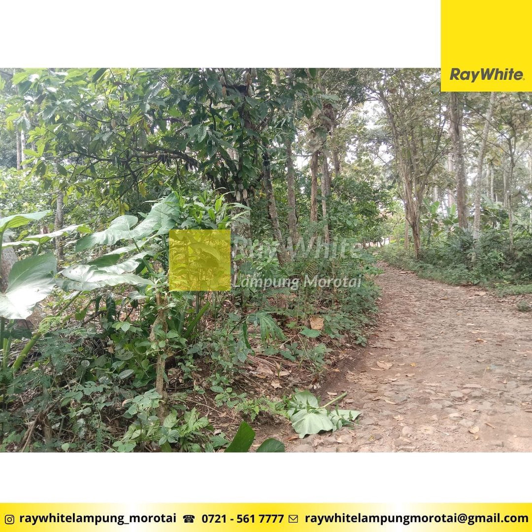 Dijual Tanah Berisikan Kebun Durian dan Kayu Keras