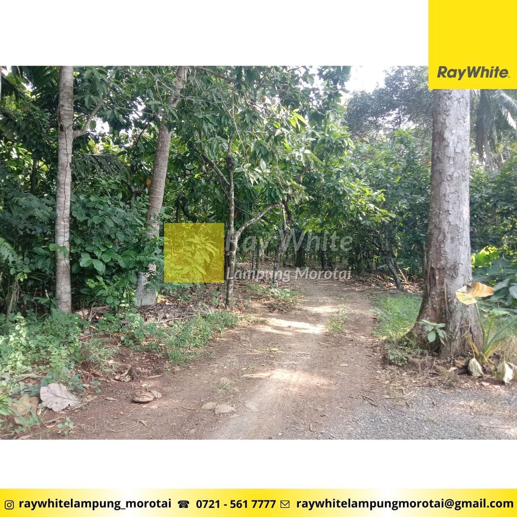 Dijual Tanah Berisikan Kebun Durian dan Kayu Keras
