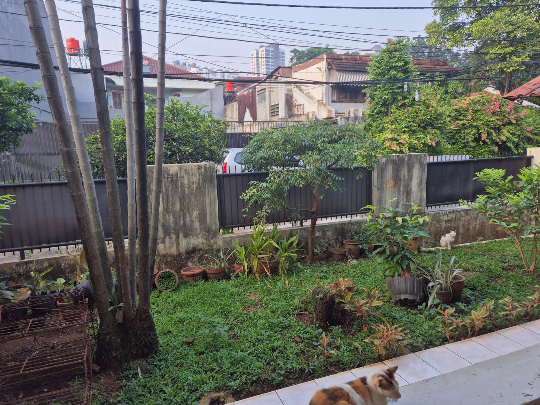 Rumah Siap Huni dengan Hunian Nyaman dan Asri di @Kebayoran Baru, Jaksel