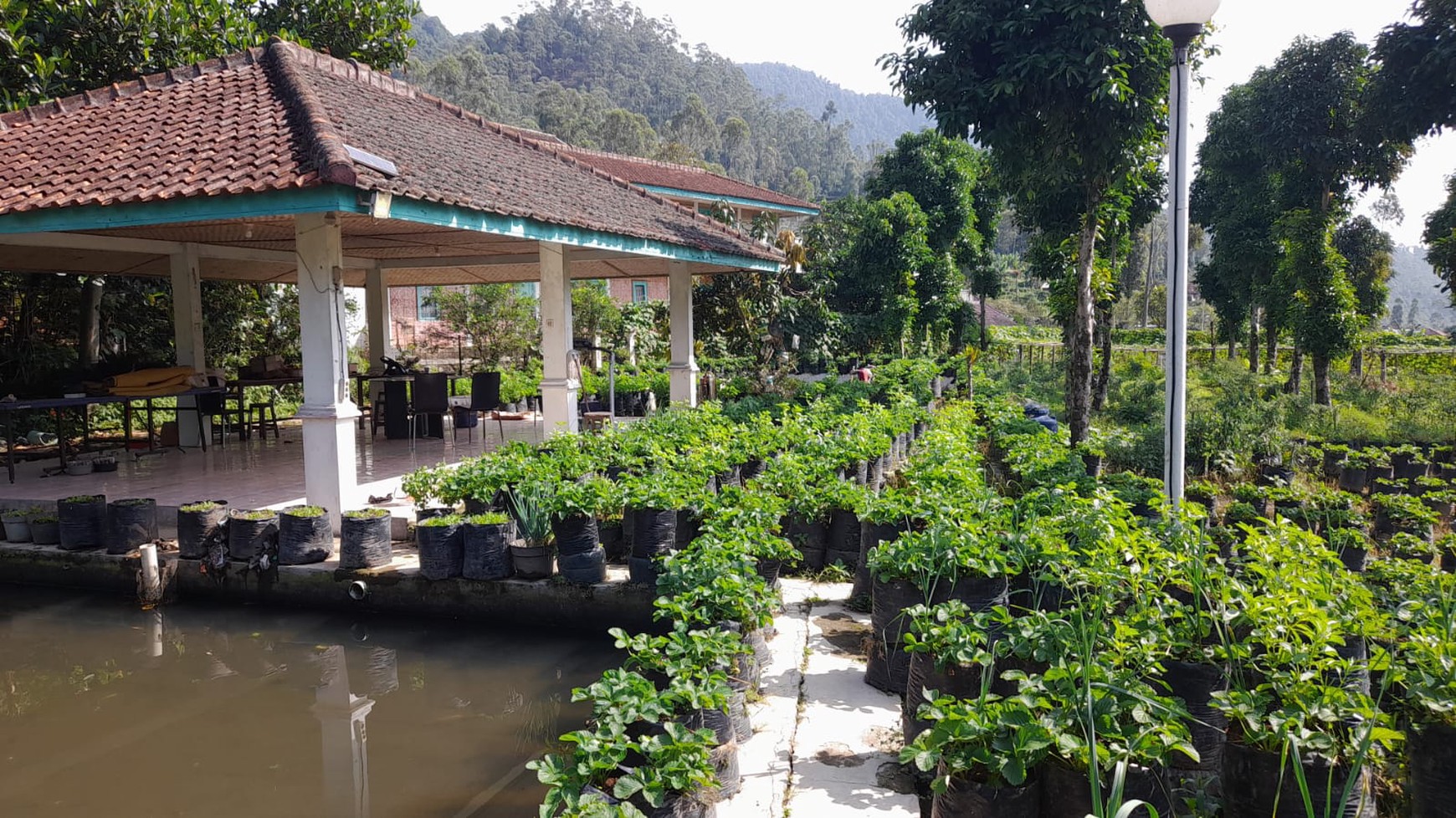 JUAL VILLA DAERAH CIWIDEY LOKASI STRATEGIS