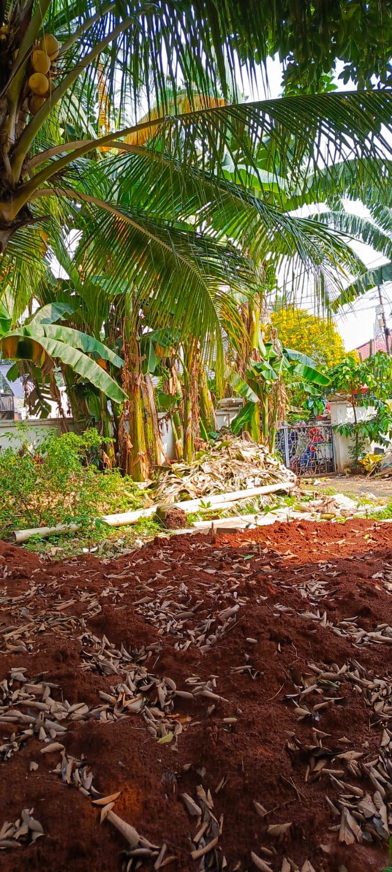 Tanah di Jual di Kawasan Elite Duren Tiga Cocok dijadikan Hunian