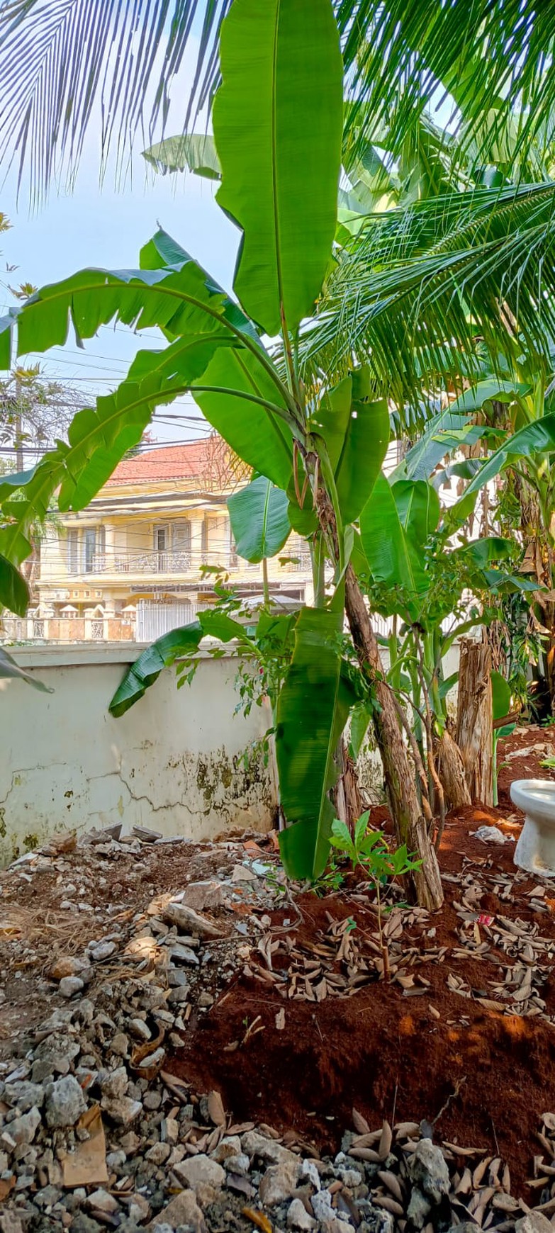 Tanah di Jual di Kawasan Elite Duren Tiga Cocok dijadikan Hunian