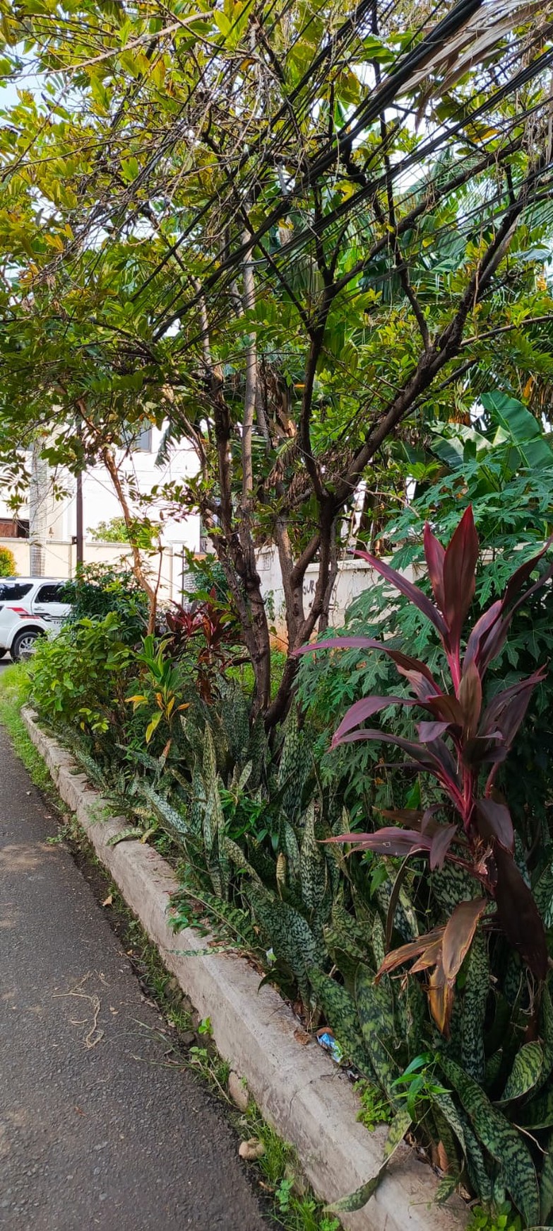 Tanah di Jual di Kawasan Elite Duren Tiga Cocok dijadikan Hunian