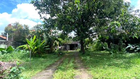 Tanah Ada Bangunan Cocok di Bangun Townhouse Harga Murah
