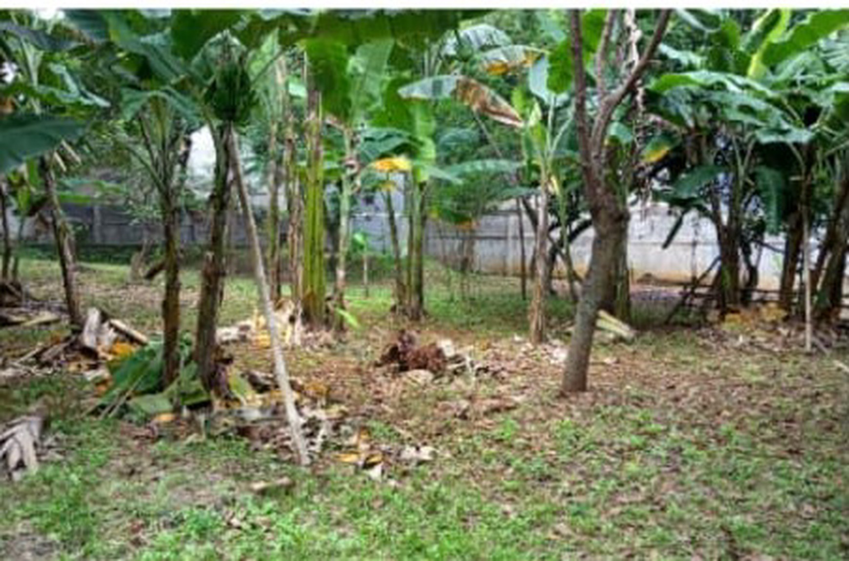 Kavling Siap Bangun di Lebak Bulus Cocok di Jadikan Townhouse