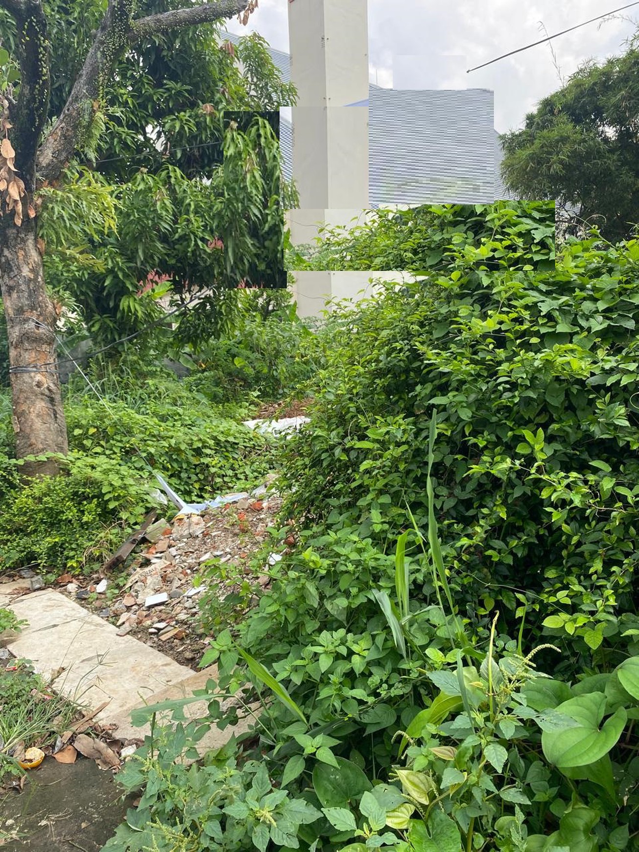 Rumah bagus, posisi di Hook, Bebas banjir, di Cipadu