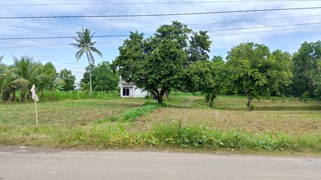Dijual Tanah Luas 5138m&#xb2; di Muara Putih, Natar