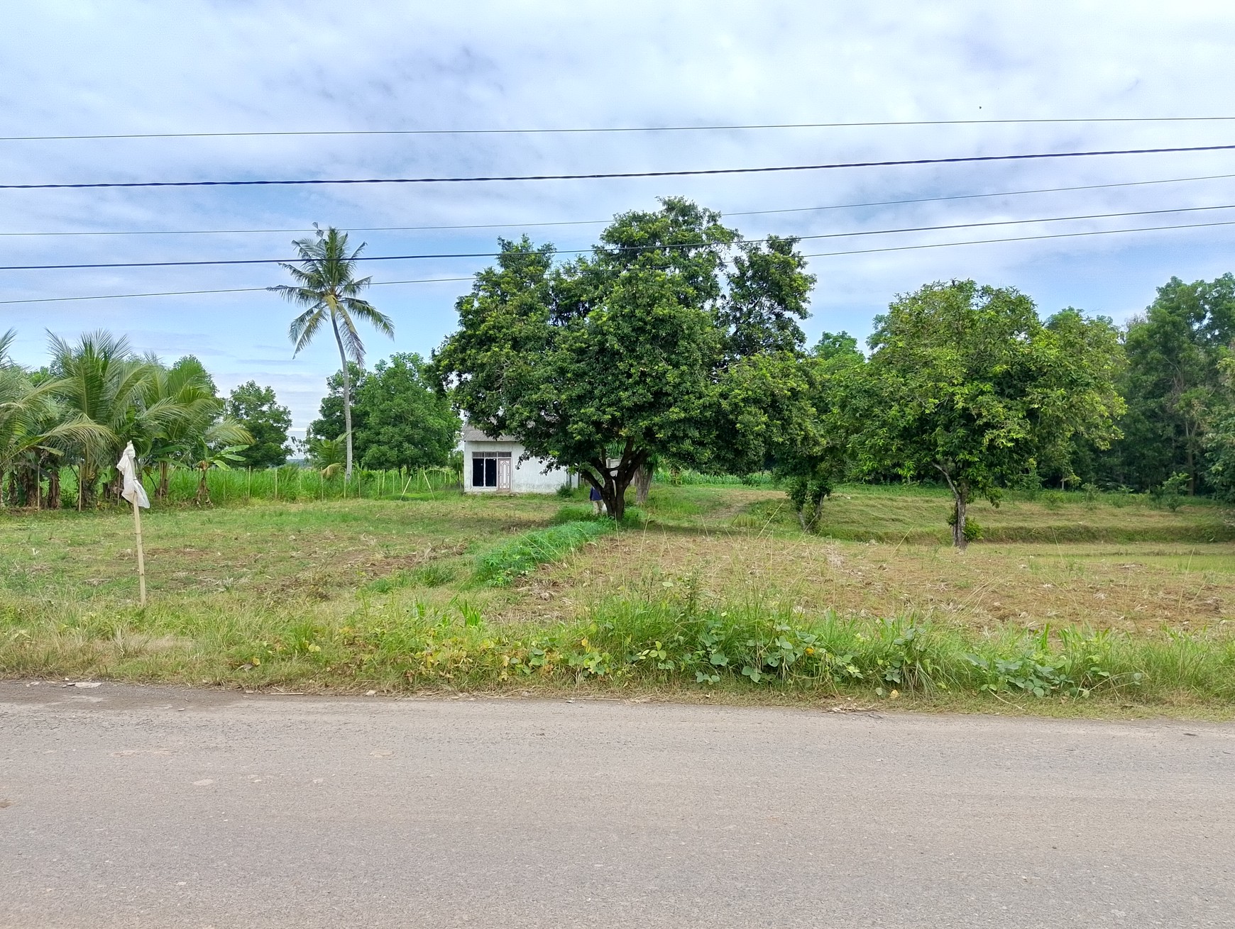 Dijual Tanah Luas 5138m² di Muara Putih, Natar