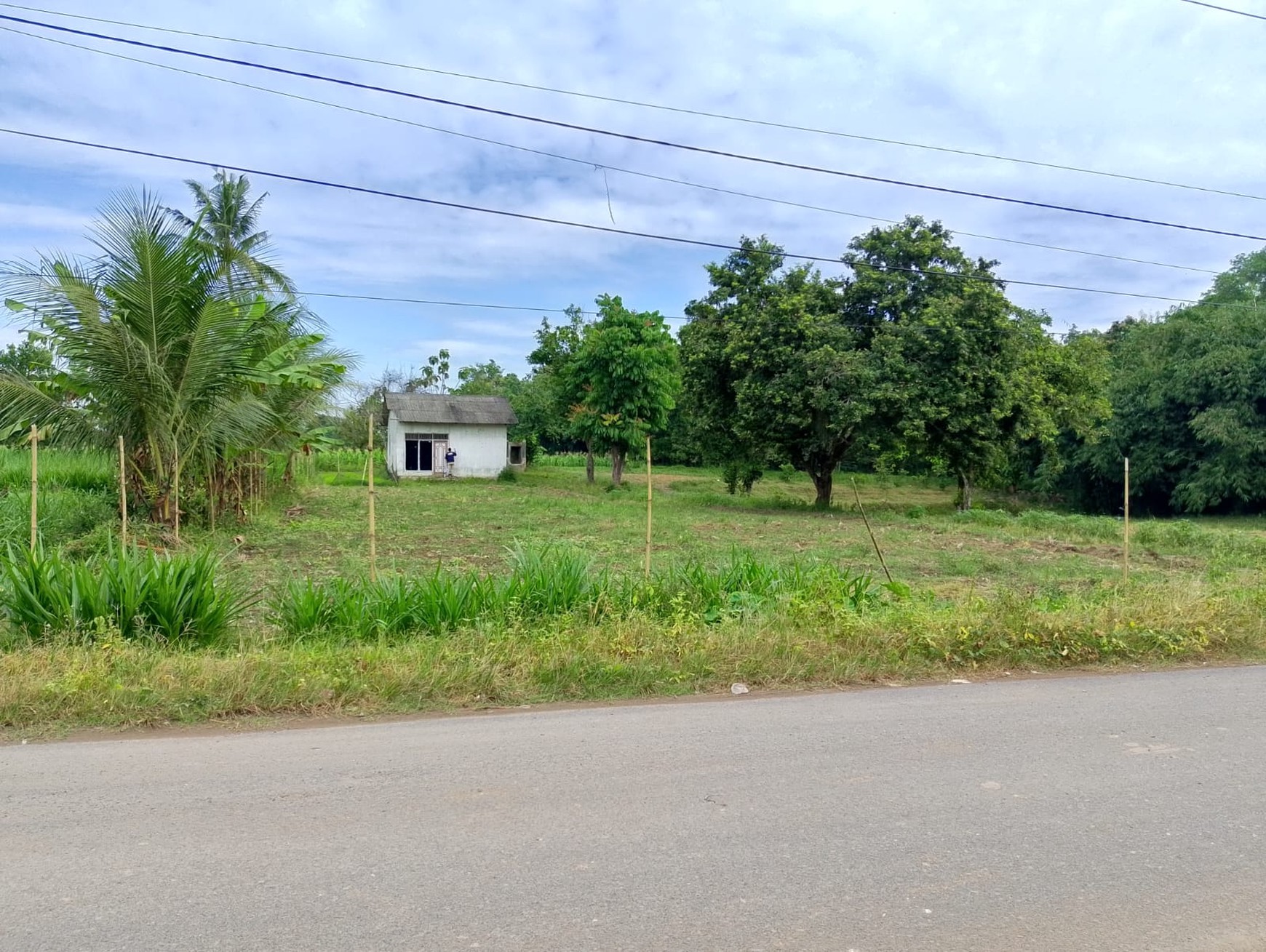 Dijual Tanah Luas 5138m² di Muara Putih, Natar