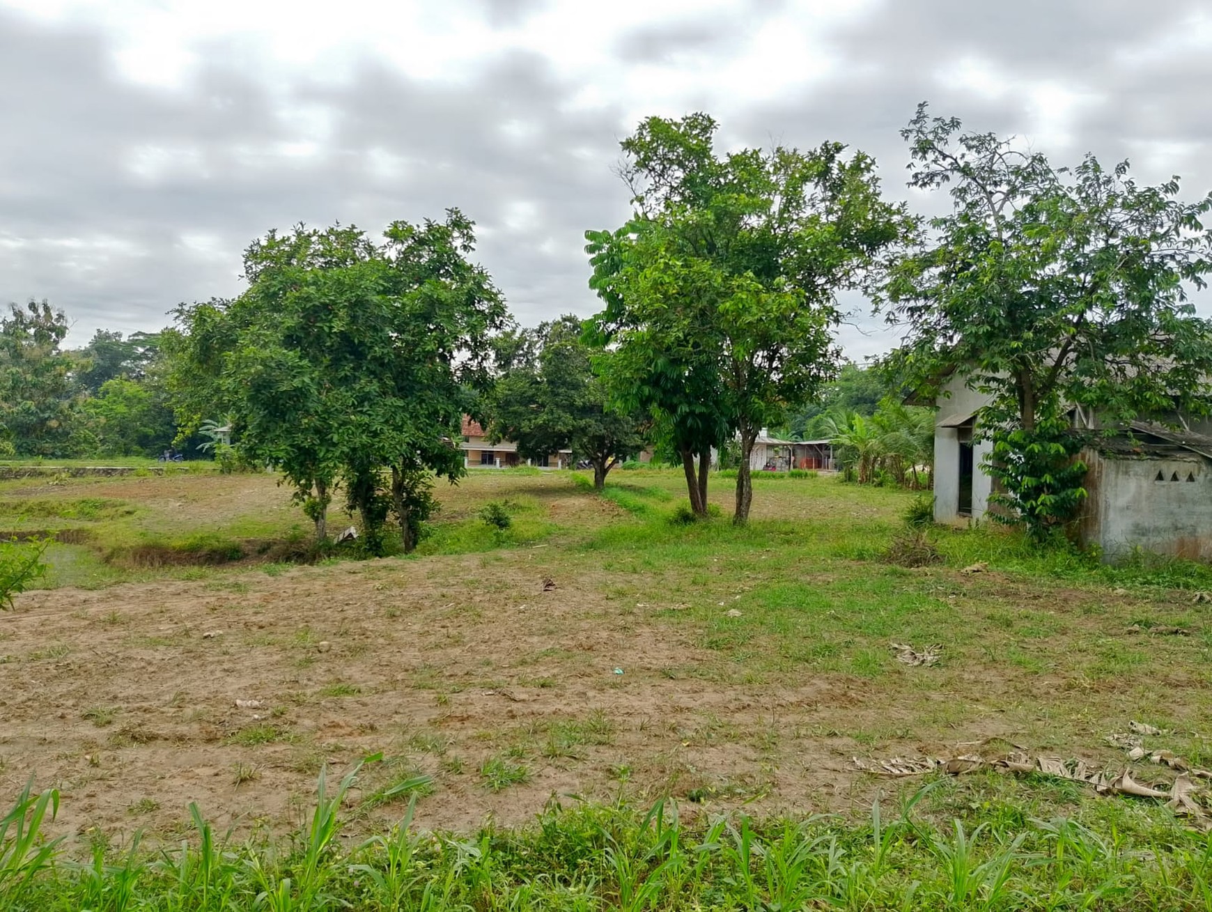 Dijual Tanah Luas 5138m² di Muara Putih, Natar