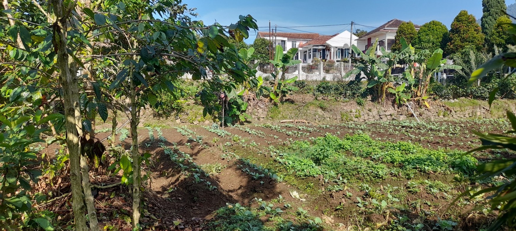 DIJUAL RUMAH&KEBUN LUAS -+3000M, COCOK UNTUK VILLA, VIEW INDAH CIWIDEY