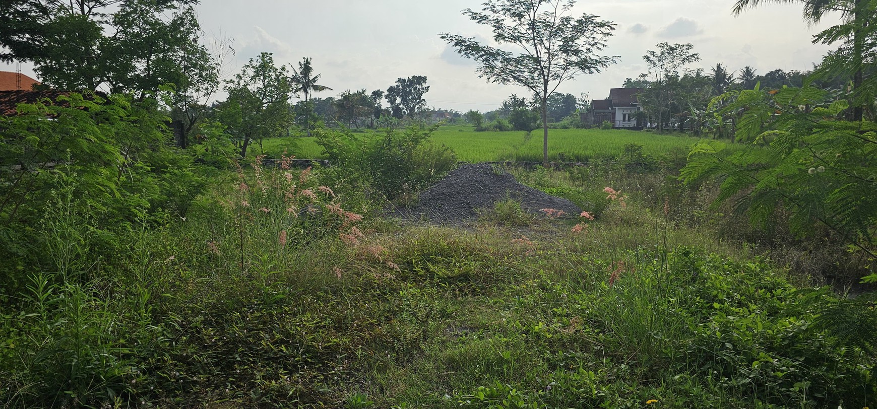 Tanah Pekarangan 244 Meter Persegi Lokasi Strategis Dijalan Tentara Pelajar Donoharjo Ngaglik Sleman