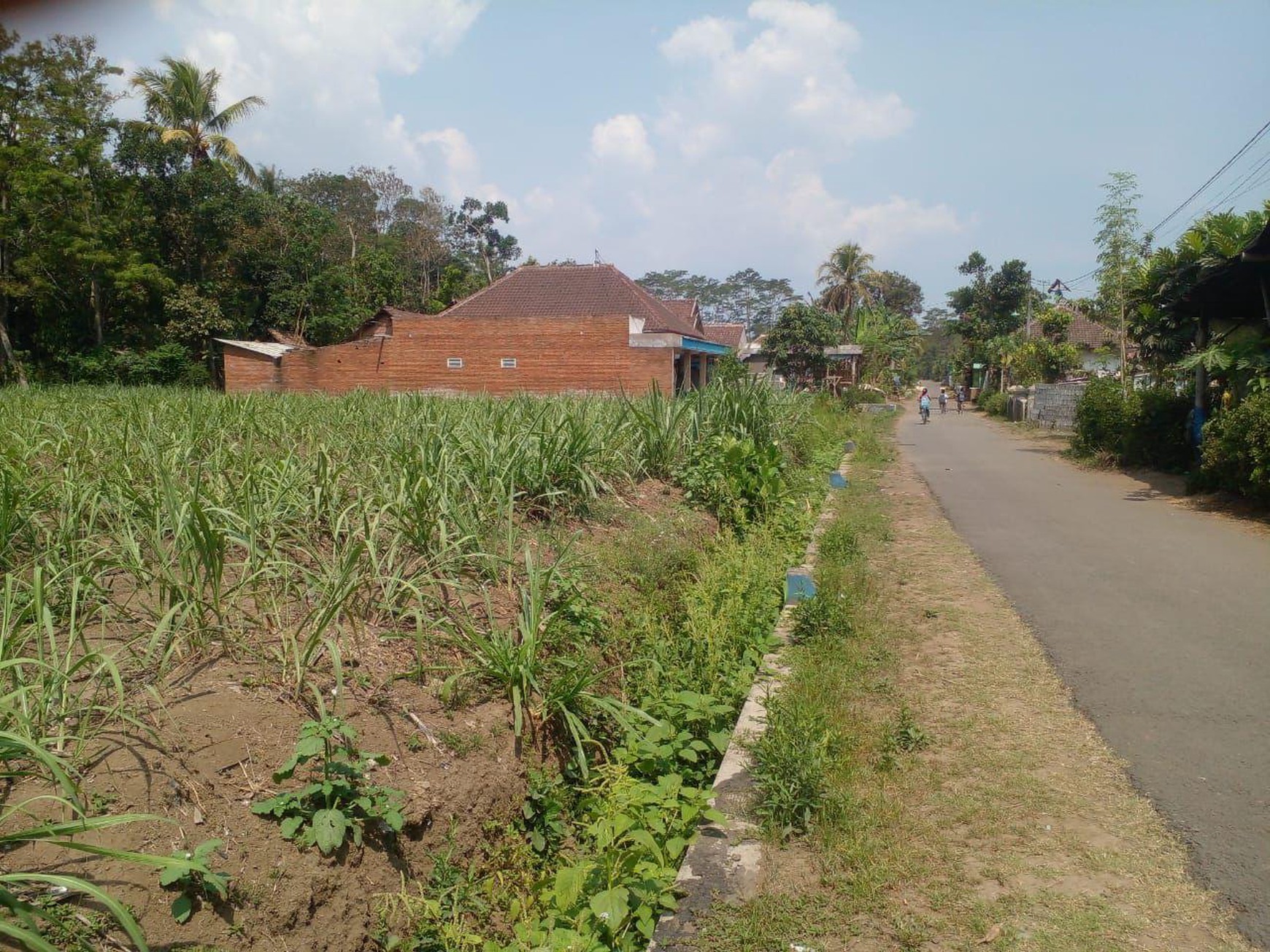 Dijual Tanah Milik Pribadi Sangat Produktif dengan Potensi Besar di Bululawang, Kab Malang Harga 8,6M!!