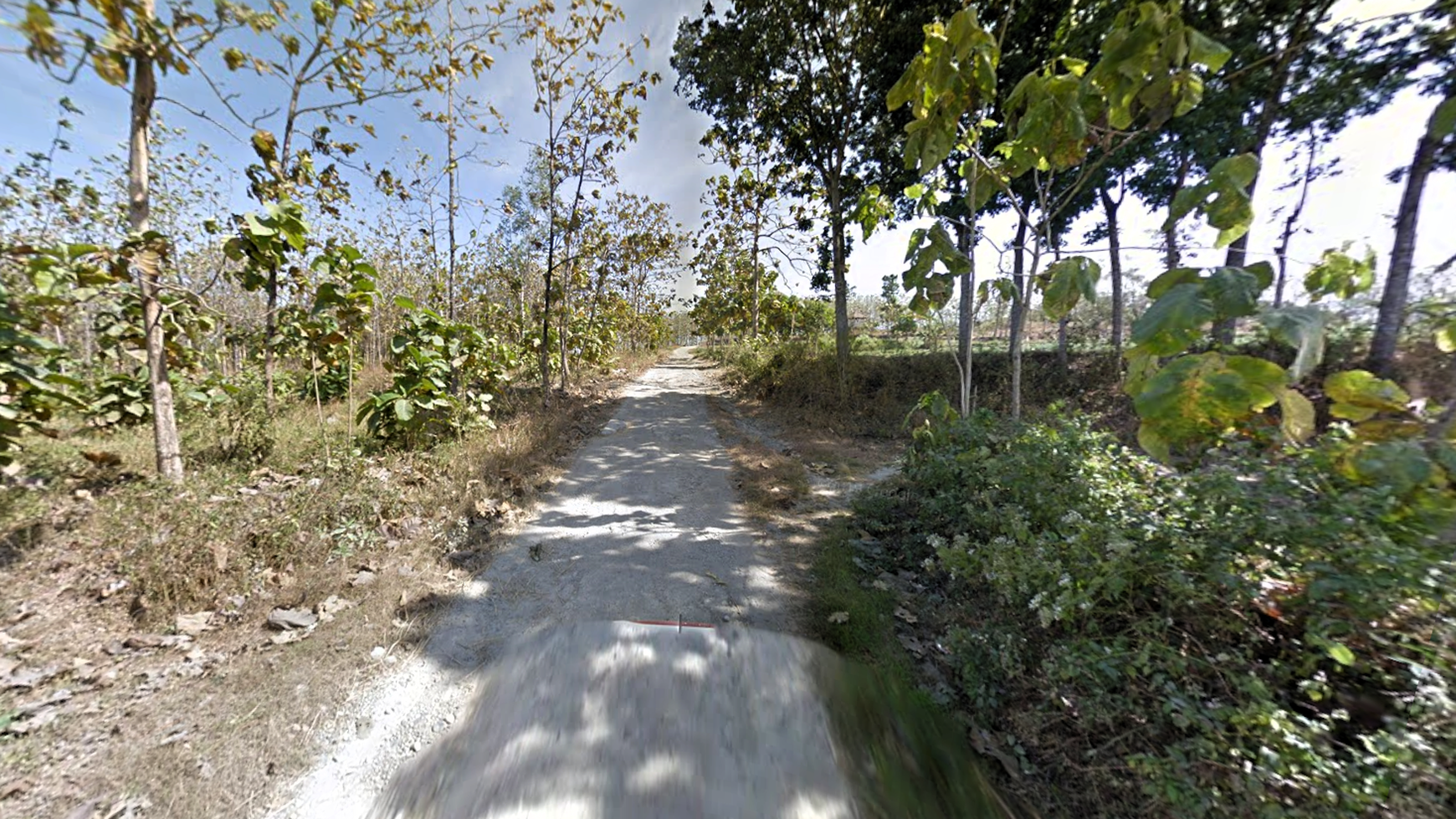 Tanah Hutan 1,5 ha di Plandaan, Jombang