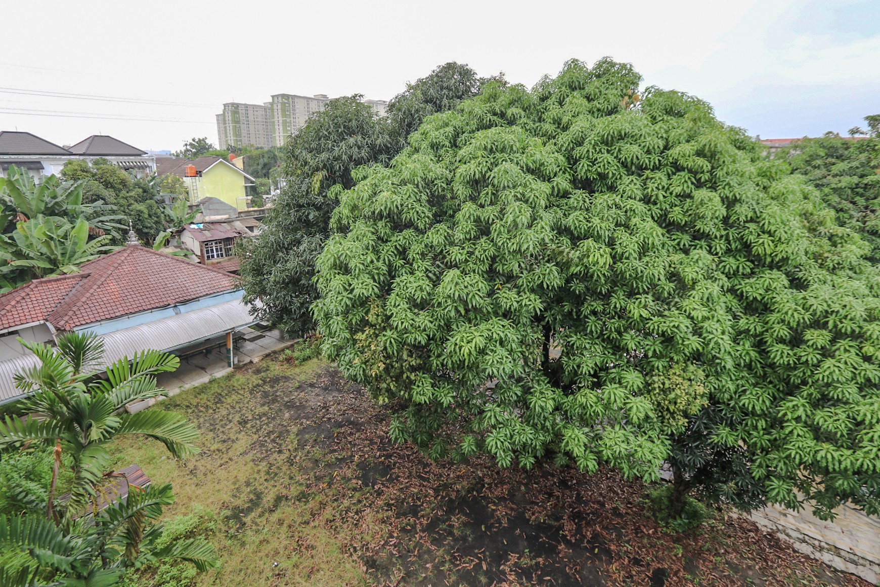 TANAH STRATEGIS DI KALIBATA, DEKAT TEBET, KUNINGAN, PANCORAN, JALAN TOL, STASIUN KERETA