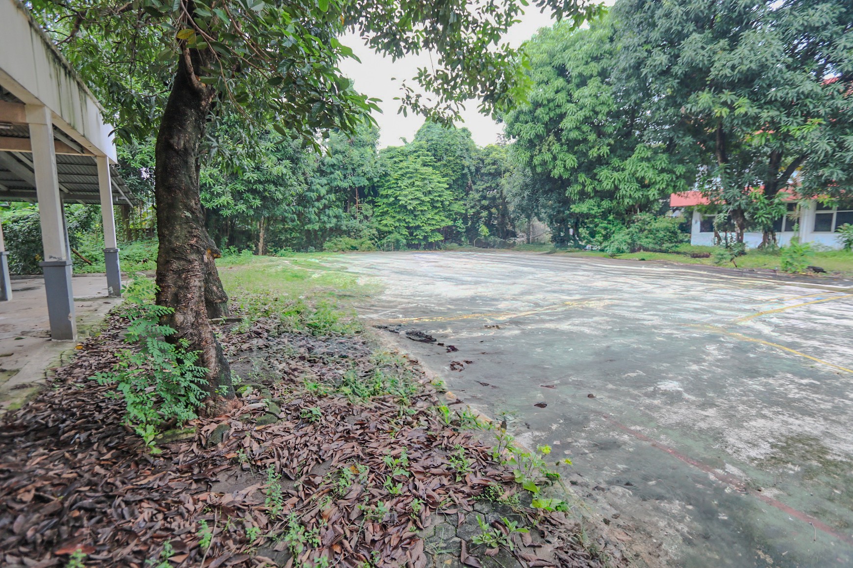 TANAH STRATEGIS DI KALIBATA, DEKAT TEBET, KUNINGAN, PANCORAN, JALAN TOL, STASIUN KERETA