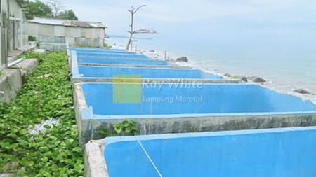 TANAH BONUS Bangunan dan Kolam EX. HATCHERY