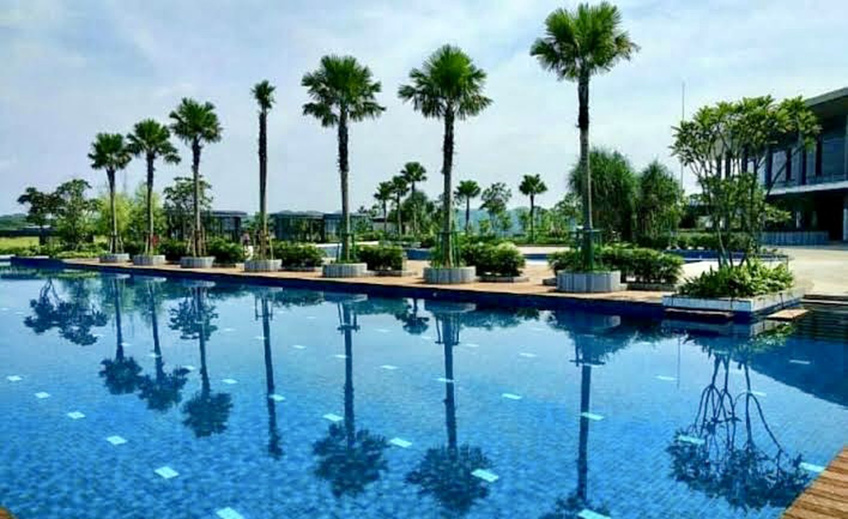For Rent Marigold Nava Park Apartment, BSD City