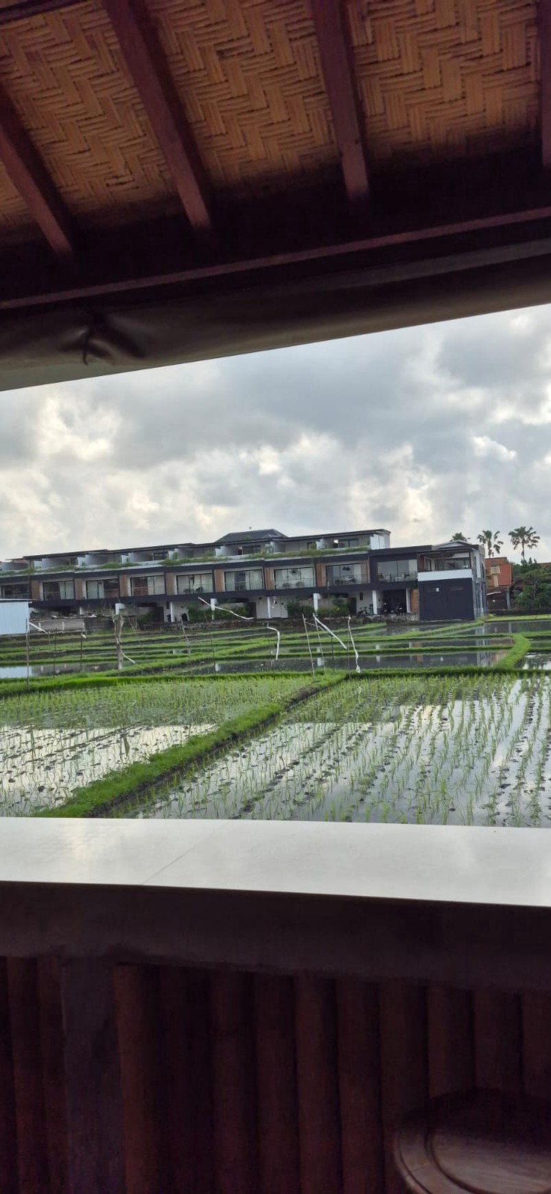 Rental - Natural villa rent with the rice field view in prime area Berawa, Canggu, Bali!