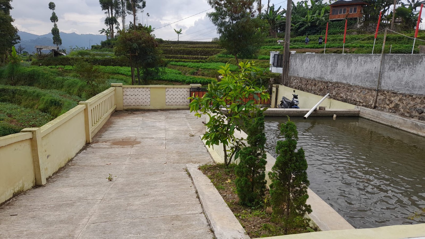 DIJUAL VILLA CIWIDEY VIEW INDAH MENGHADAP GUNUNG & SAWAH