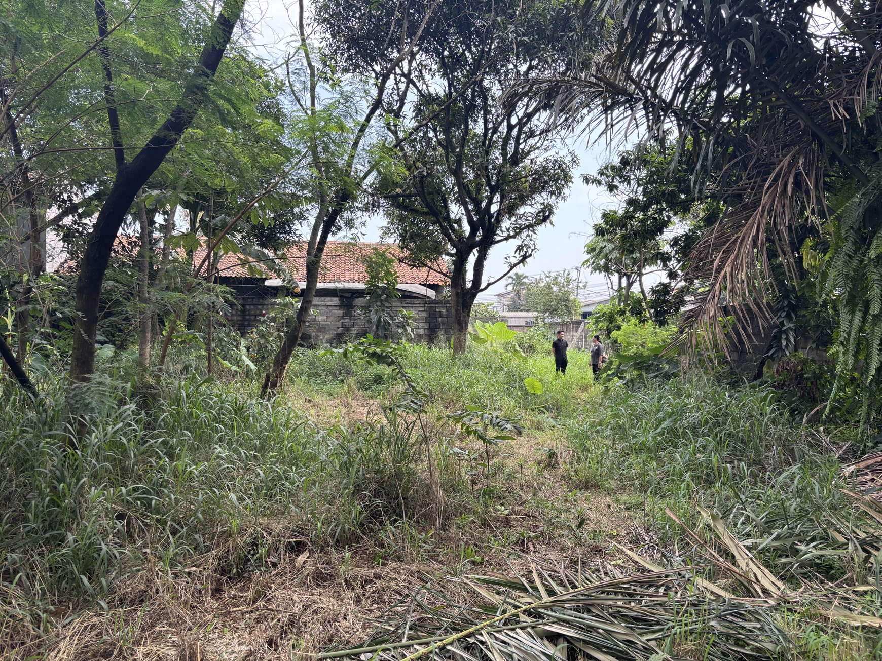 Kavling Industri di Jl. Raya Karanggan 0KM dari Exit Toll Karanggan Gn. Putri