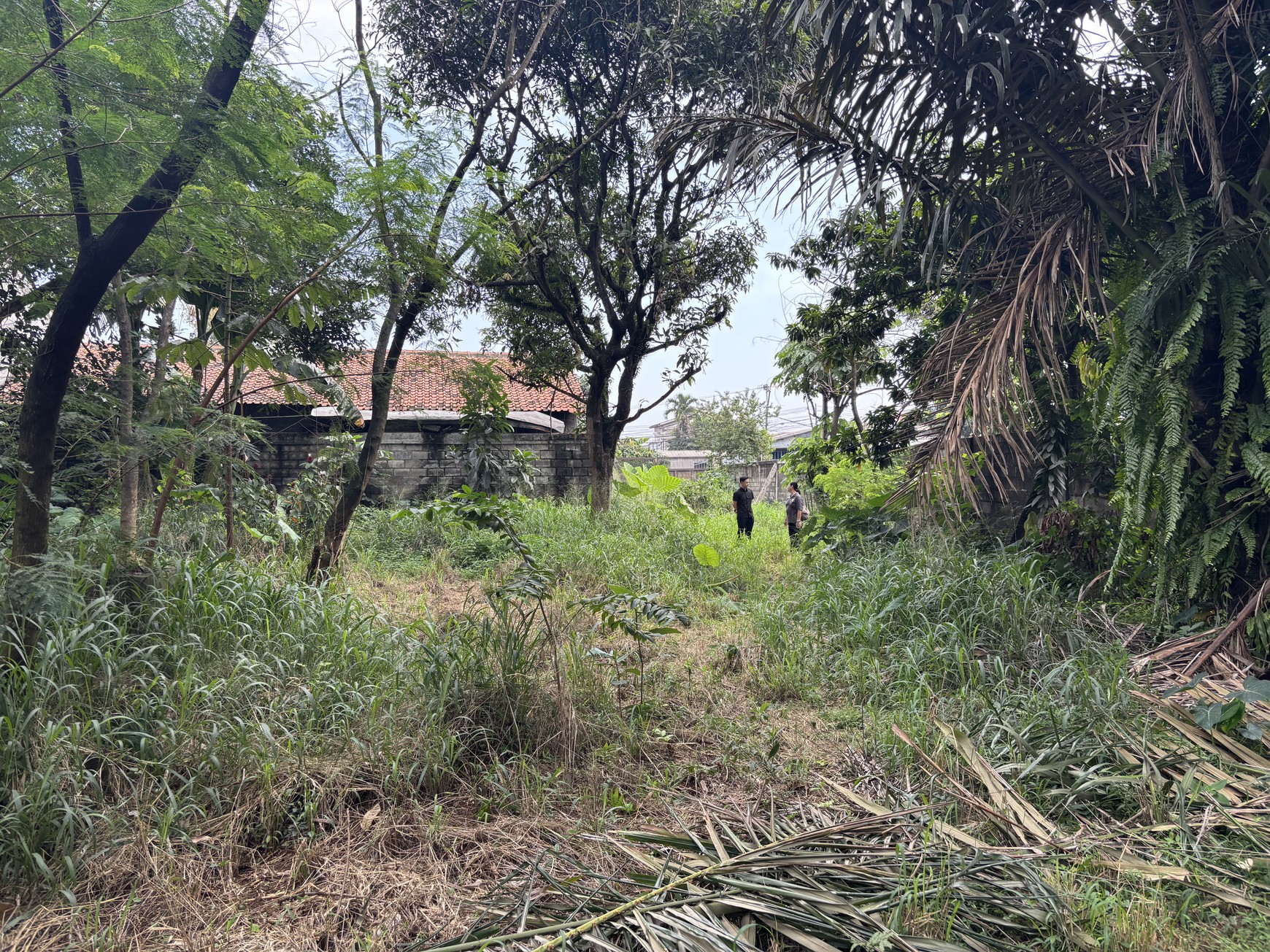 Kavling Industri di Jl. Raya Karanggan 0KM dari Exit Toll Karanggan Gn. Putri