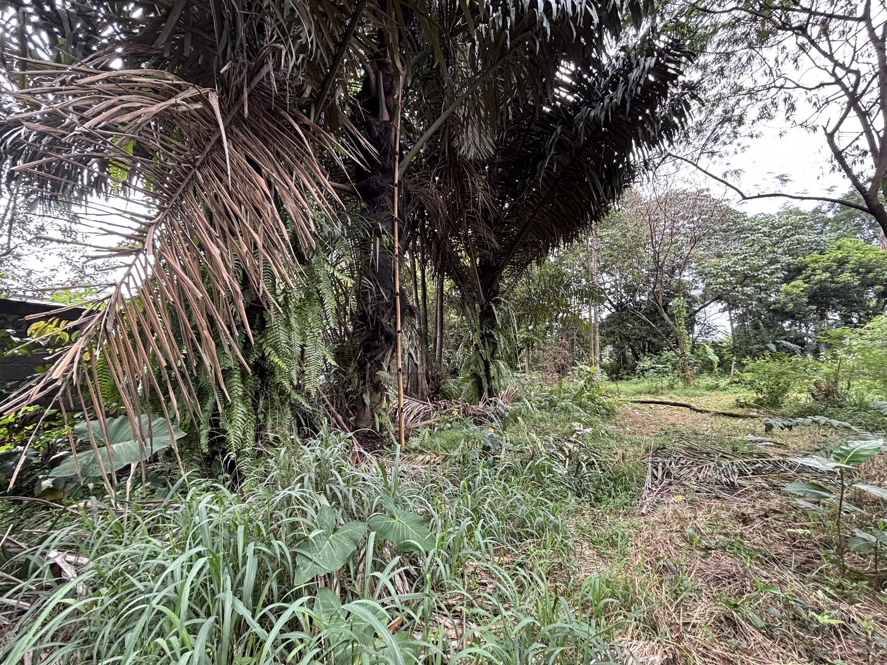 Kavling Industri di Jl. Raya Karanggan 0KM dari Exit Toll Karanggan Gn. Putri