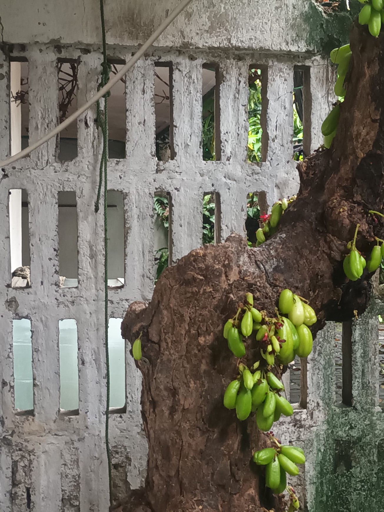 Rumah Bagus SHM Siap Huni Dengan Hunian Nyaman @Kebayoran Lama, Jakarta Selatan
