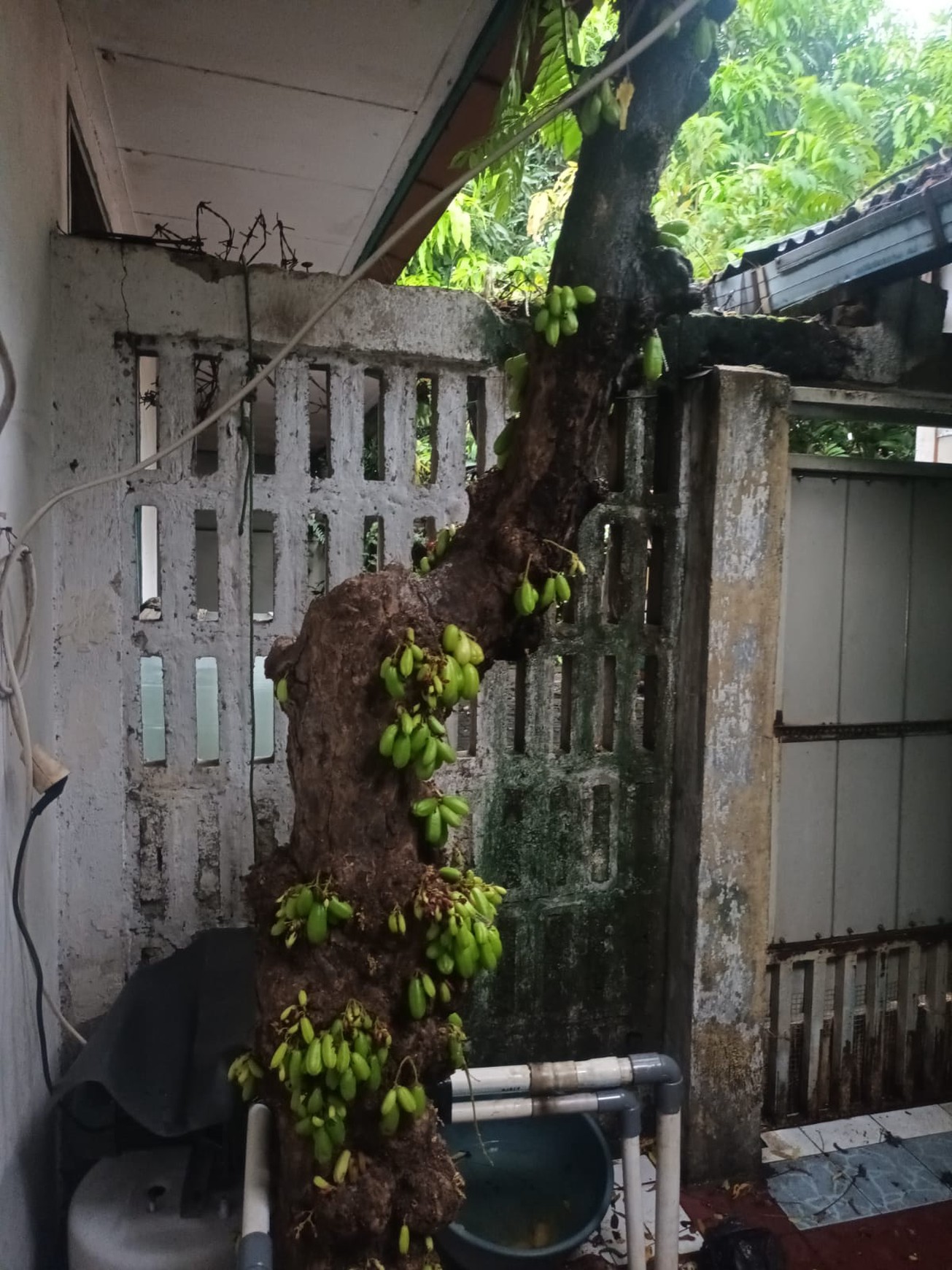 Rumah Bagus SHM Siap Huni Dengan Hunian Nyaman @Kebayoran Lama, Jakarta Selatan