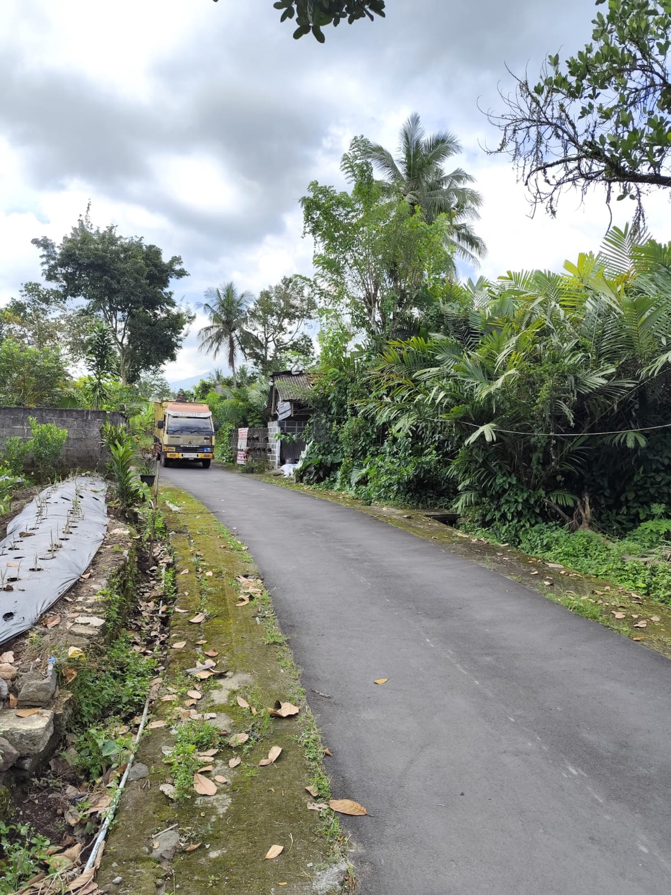 Rumah Tinggal Furnish Cocok Untuk Homestay Lokasi Dekat Pasar Balerante Wonokerto, Turi, Sleman