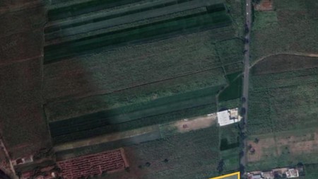 Dijual Tanah Murah di Mojoagung, Jombang