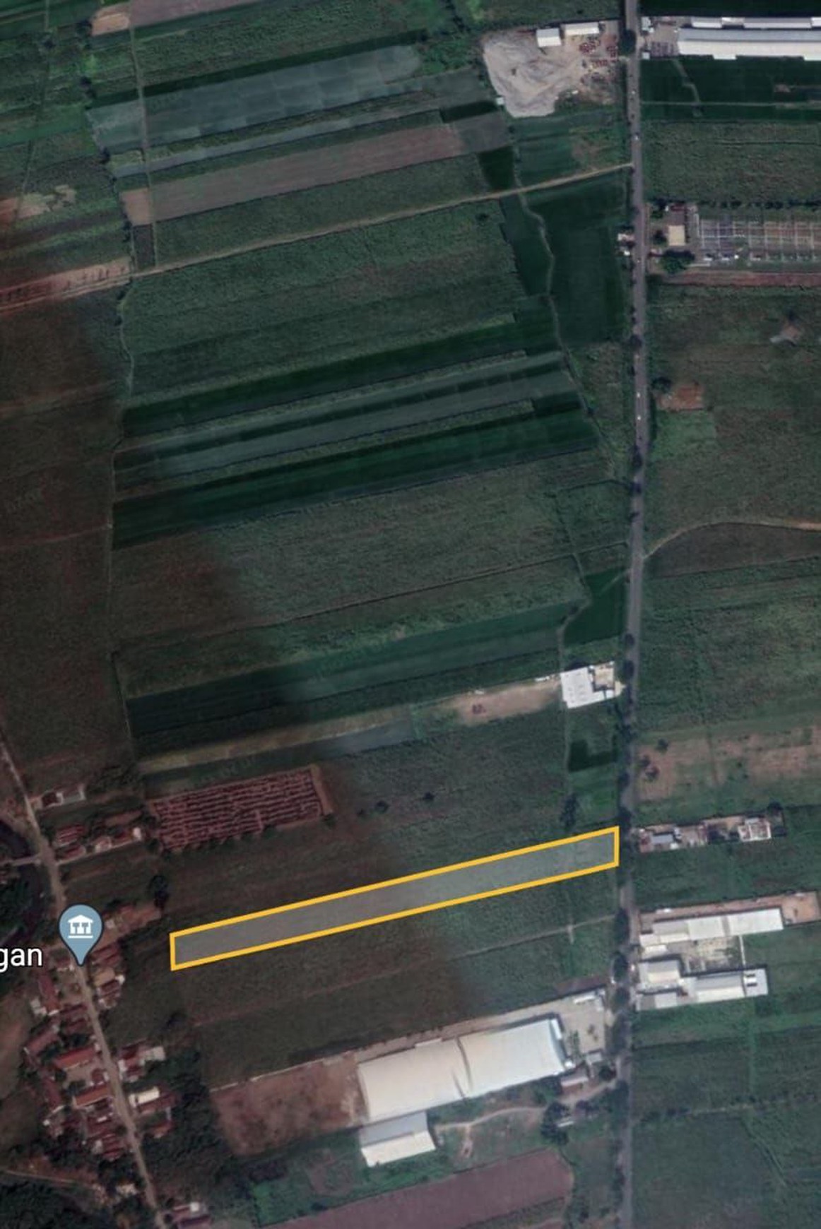 Dijual Tanah Murah di Mojoagung, Jombang