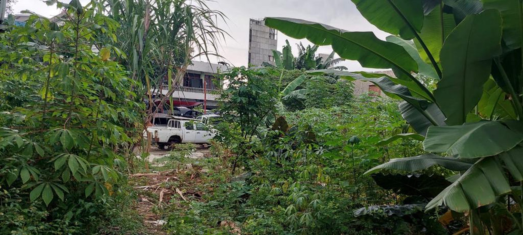 Kavling 2.500M2 di Warung Buncit, Mampang Jakarta Selatan