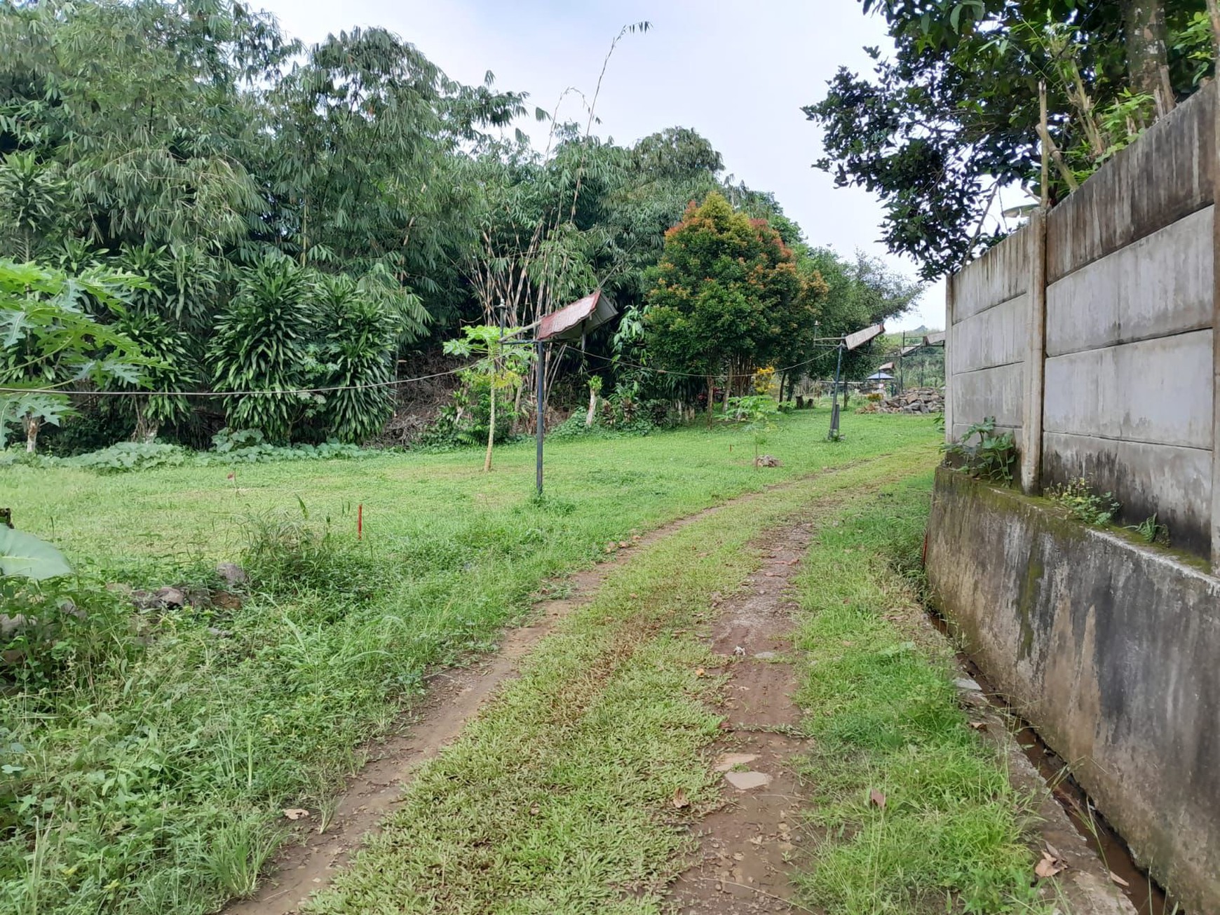 Kavling sangat cocok untuk Villa di Ciomas Bogor