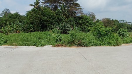 Tanah Sawah 2188 Meter Persegi Sendangrejo Minggir Sleman