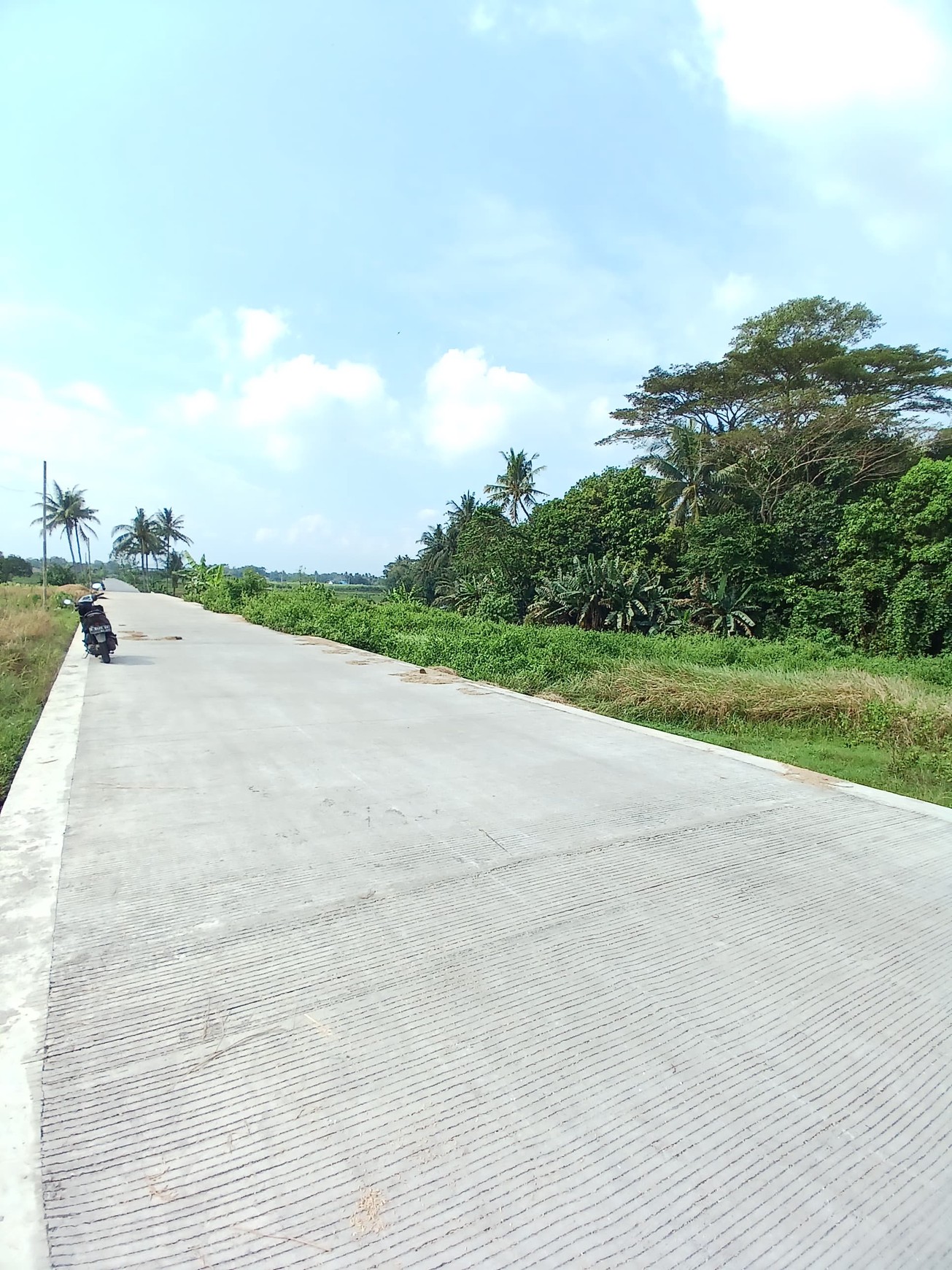 Tanah Sawah 2188 Meter Persegi Sendangrejo Minggir Sleman