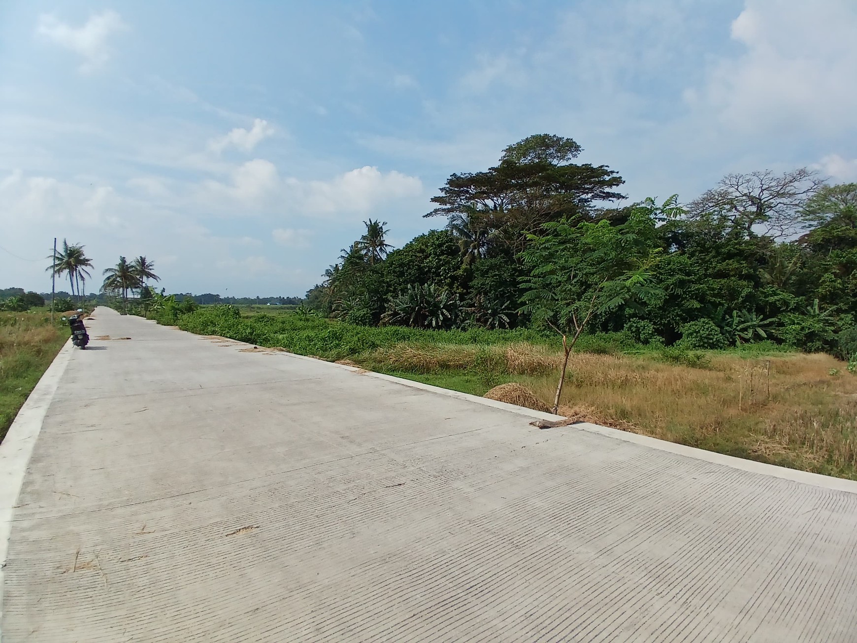 Tanah Sawah 2188 Meter Persegi Sendangrejo Minggir Sleman