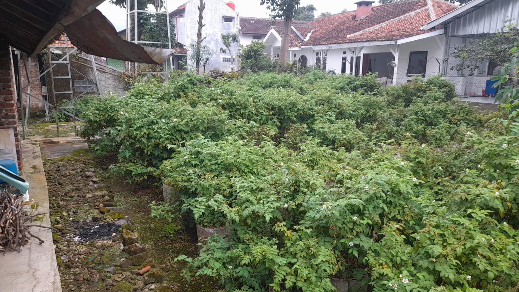 DIJUAL RUMAH DAERAH CIWIDEY LOKASI STRATEGIS