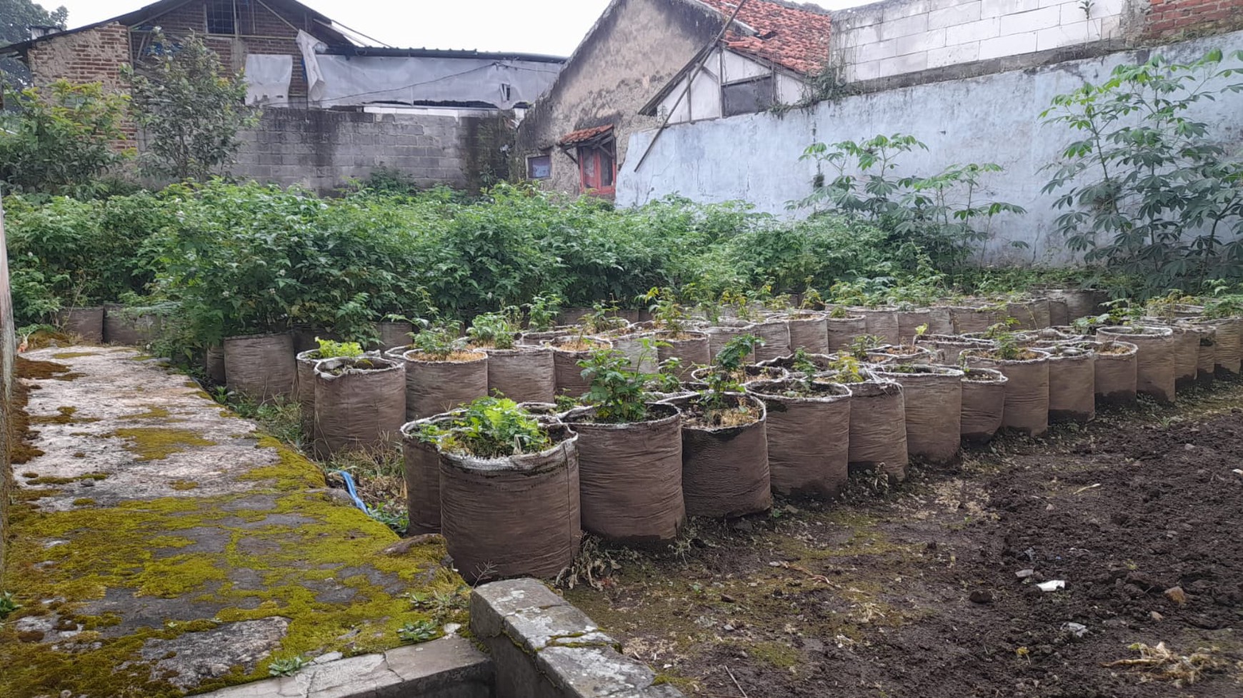 DIJUAL RUMAH DAERAH CIWIDEY LOKASI STRATEGIS