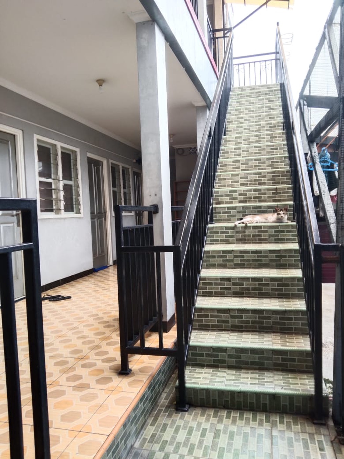 Rumah Kos-kosan Di Jl Sambiloto Kayu Putih Jakarta Timur