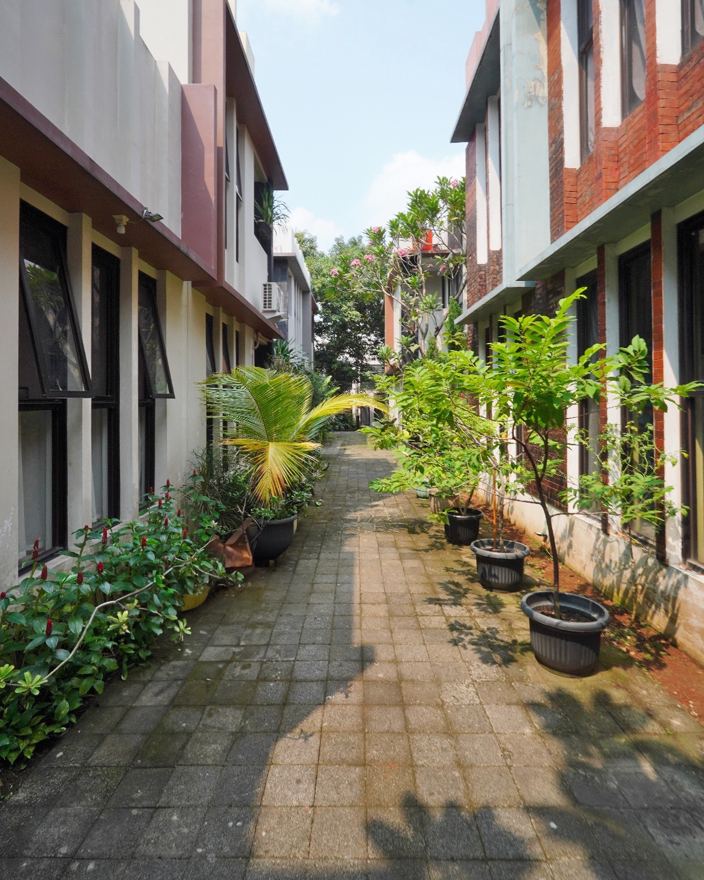 Rumah Bagus Di Bali Maissonette, Cilandak Jakarta Selatan