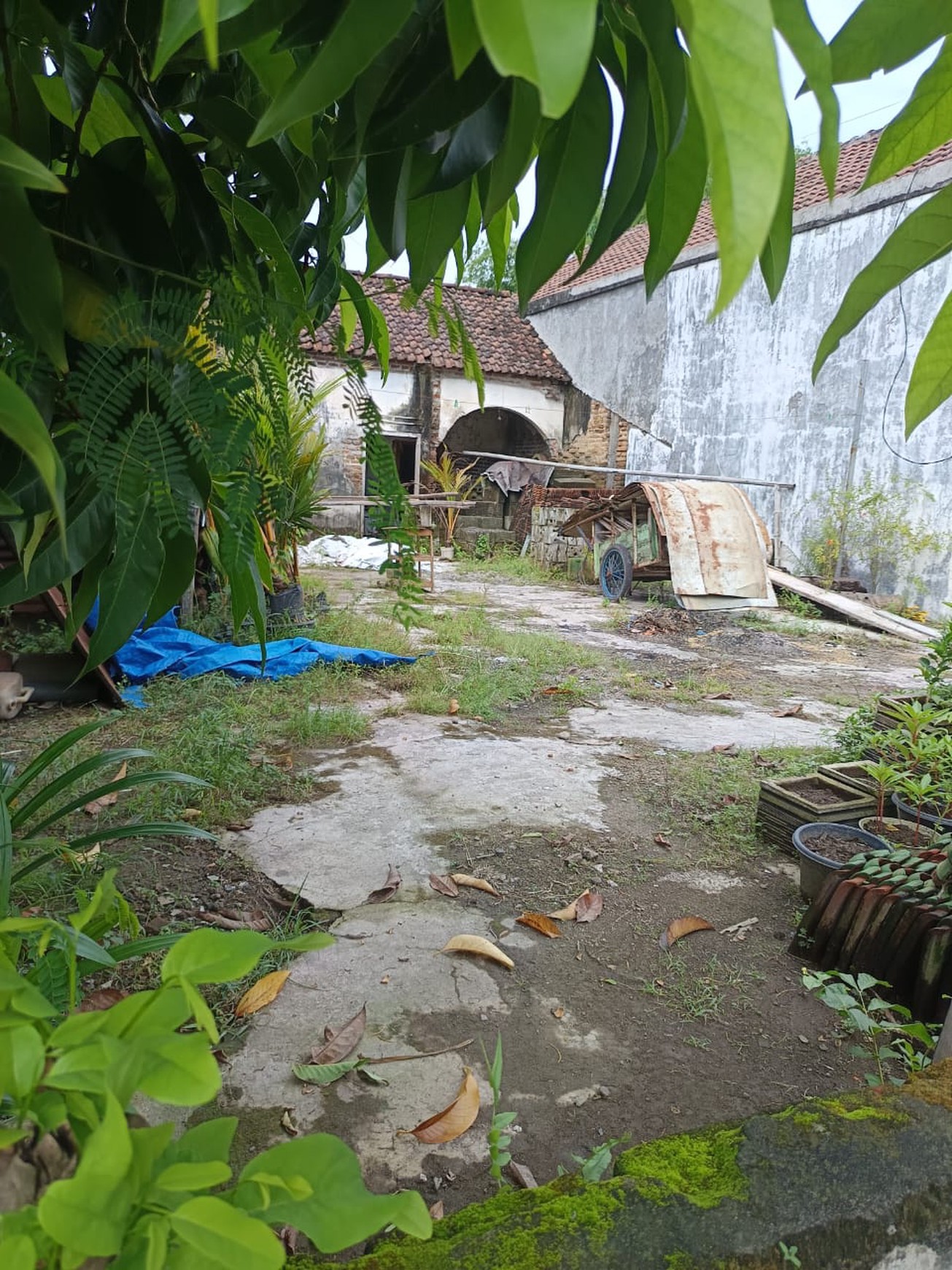 Tanah Strategis Siap Bangun di Bongkot, Peterongan