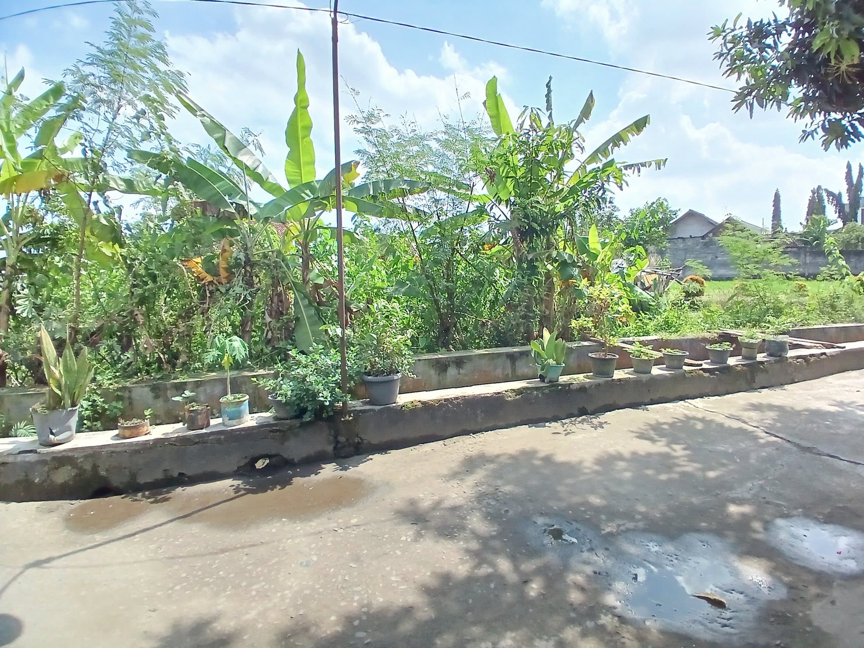 Tanah Sawah 438 Meter Persegi Cocok Untuk Kost, Timbulharjo, Sewon, Bantul