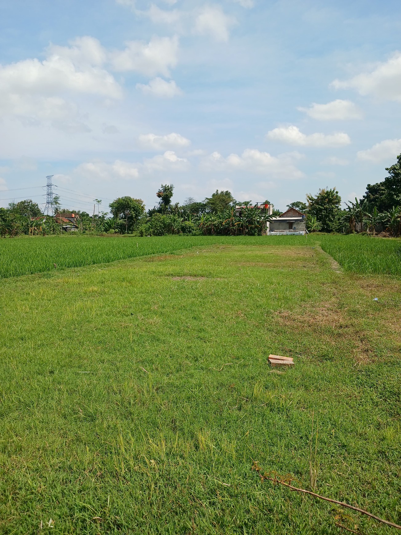Tanah Sawah 438 Meter Persegi Cocok Untuk Kost, Timbulharjo, Sewon, Bantul