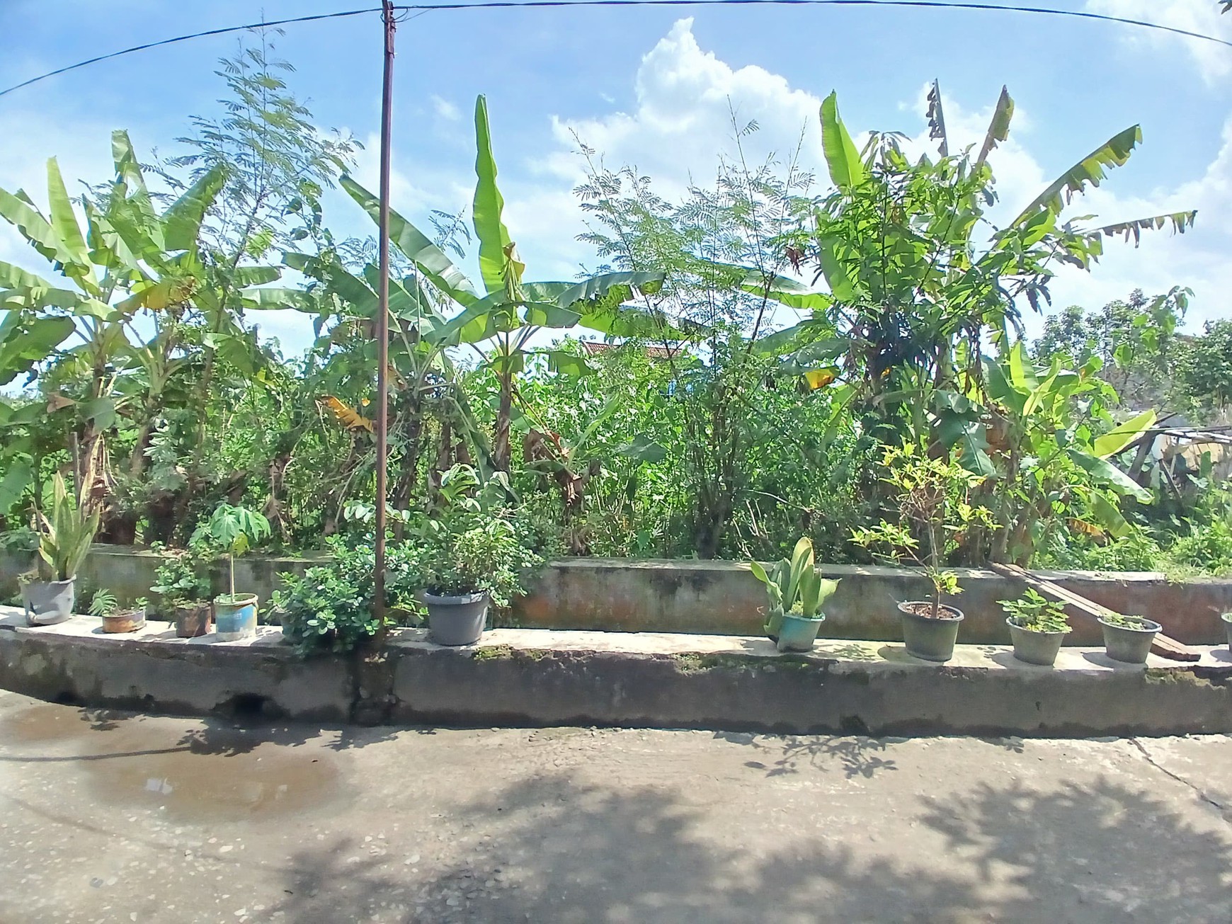 Tanah Sawah 438 Meter Persegi Cocok Untuk Kost, Timbulharjo, Sewon, Bantul