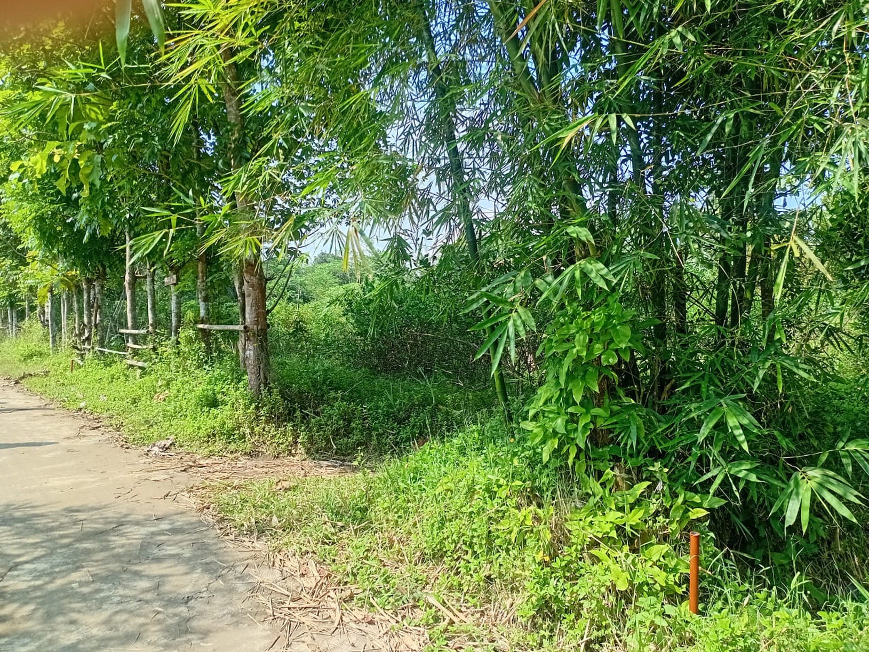 Tanah Luas 2.623 Meter Persegi Di Mertoyudan Magelang Jawa Tengah