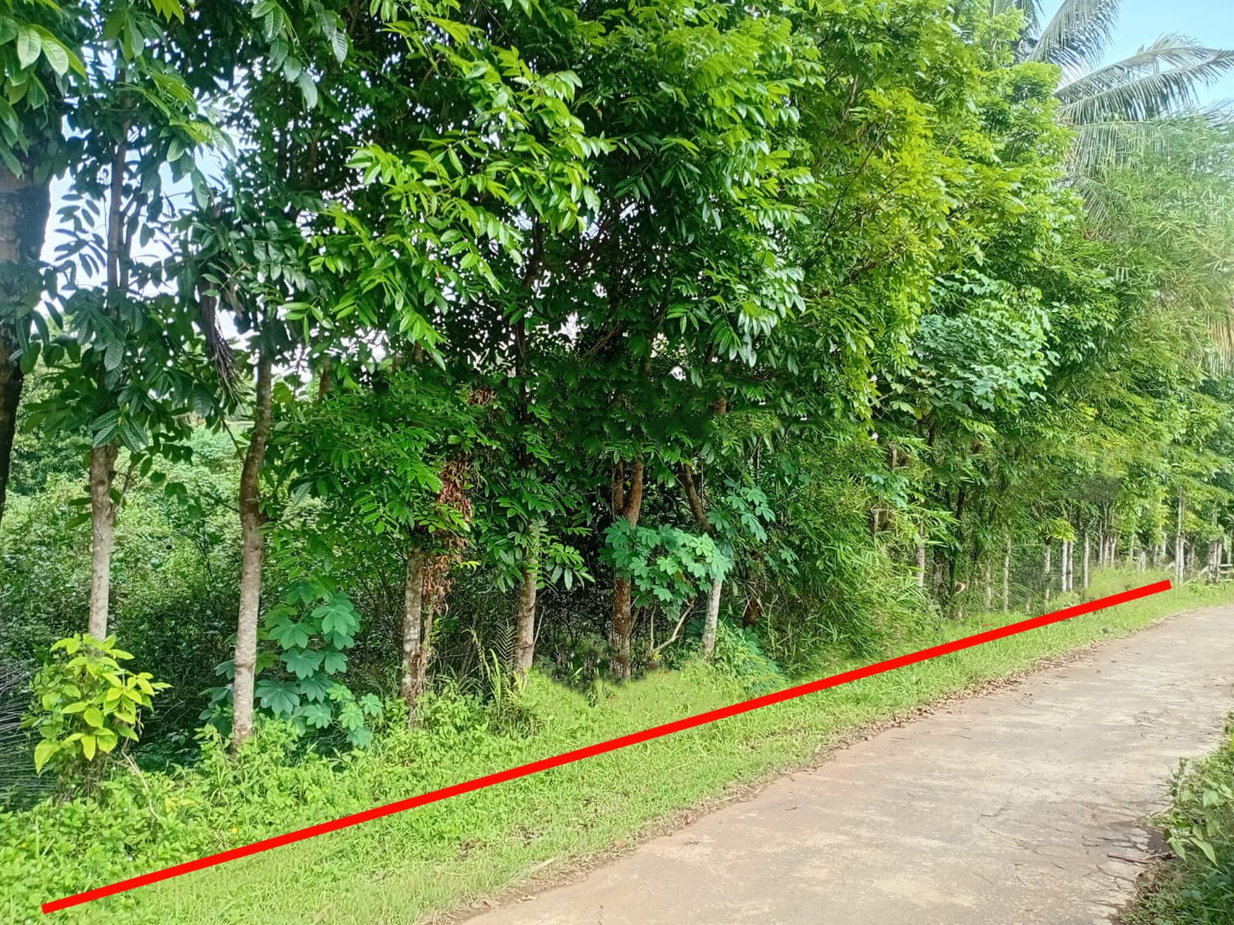 Tanah Luas 2.623 Meter Persegi Di Mertoyudan Magelang Jawa Tengah
