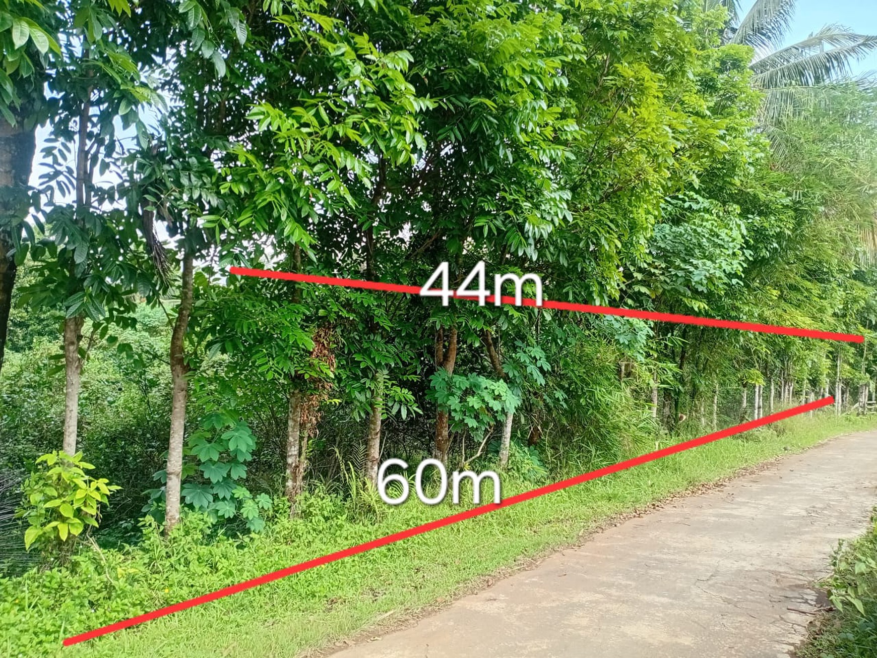 Tanah Luas 2.623 Meter Persegi Di Mertoyudan Magelang Jawa Tengah