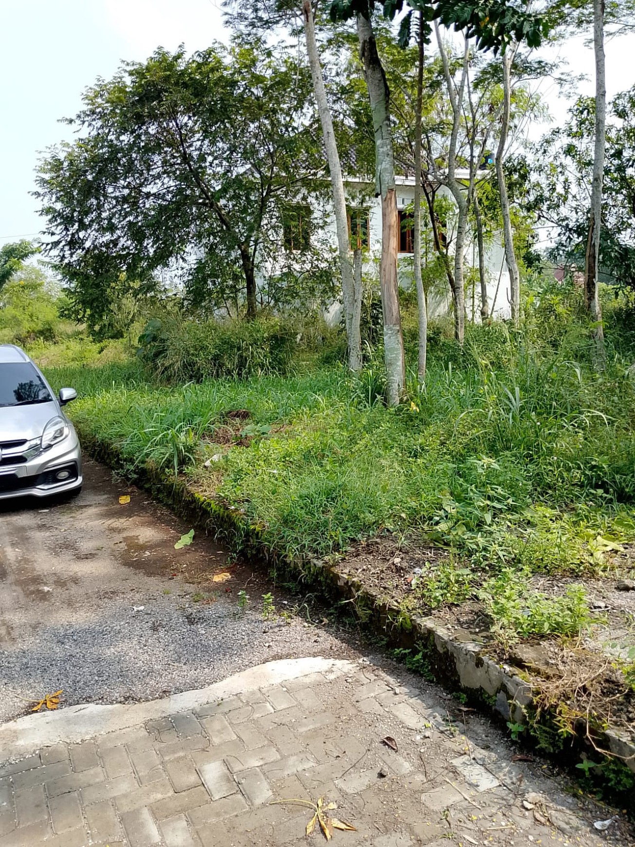 Kavling Murah Luas Siap Bangun dan Lokasi Strategis @Sleman, Yogyakarta