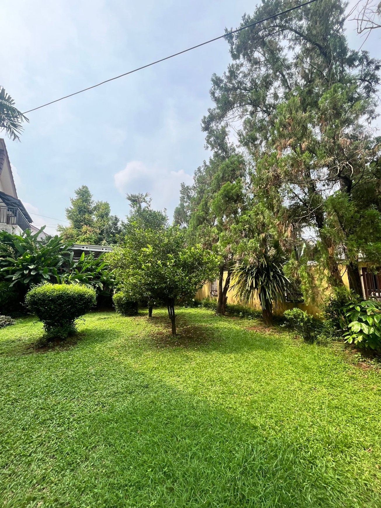 Rumah asri dengan halaman luas